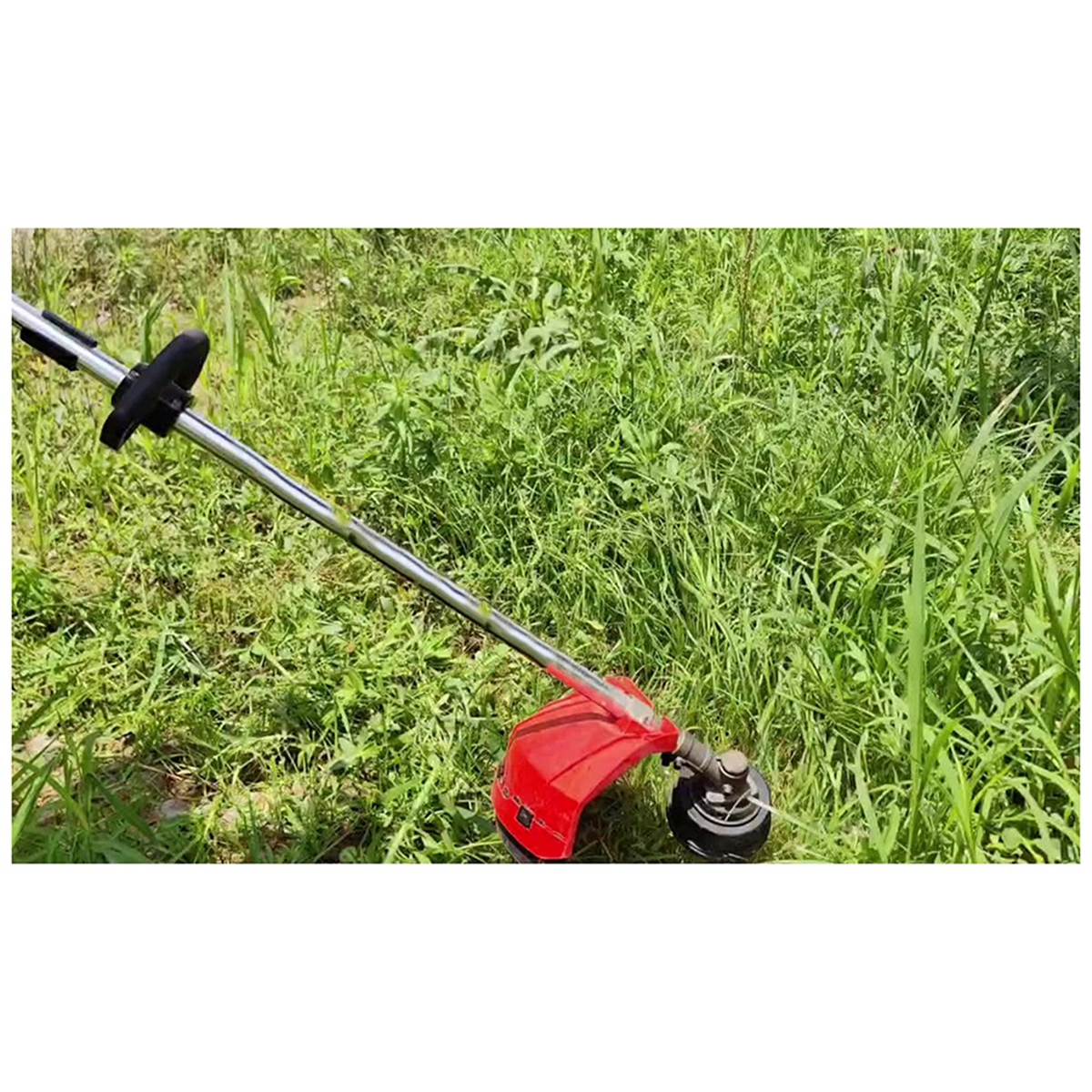 A71P Simple and Practical Iron - Gardening Tools Needed recensione e prezzo