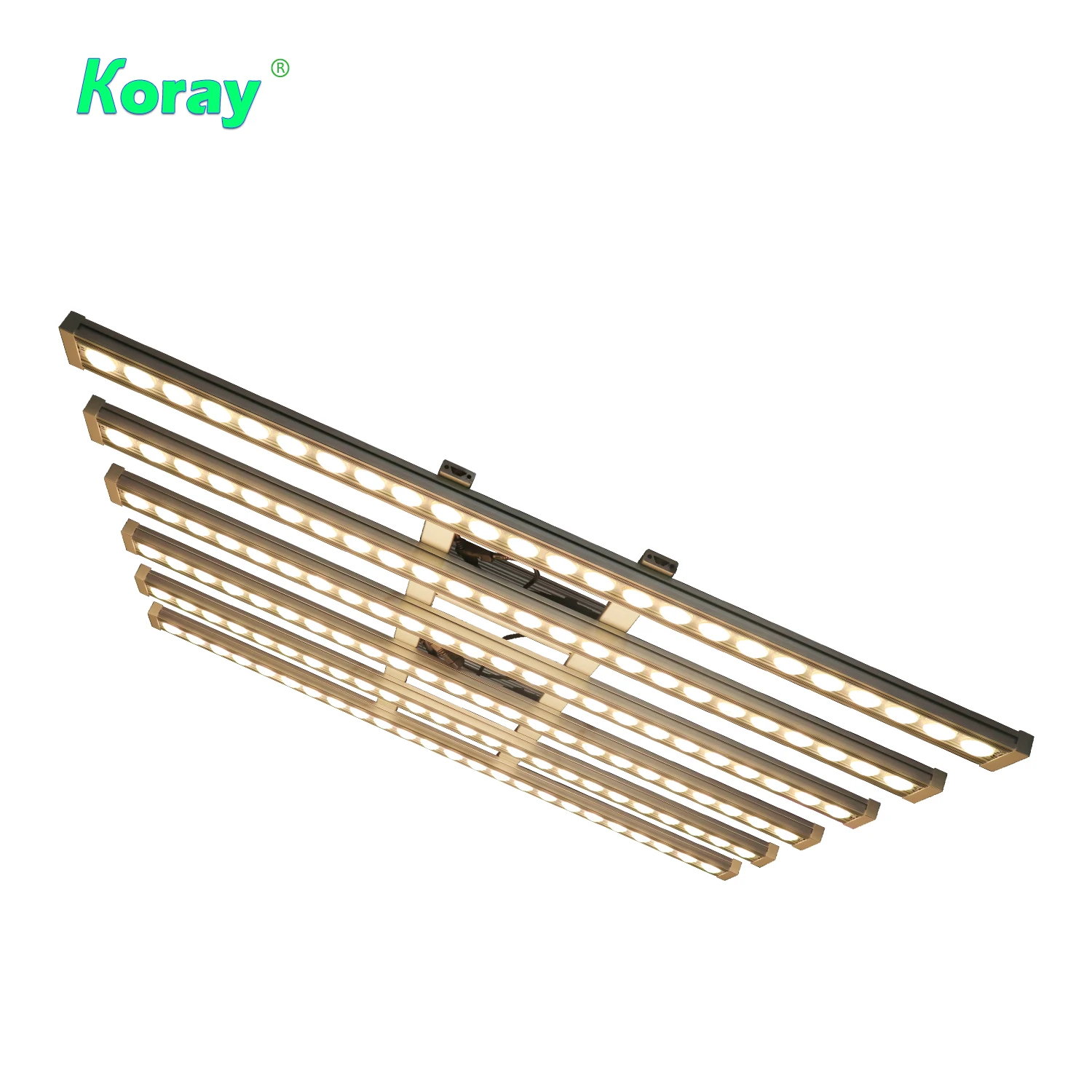 Koray 900W Indoor full spectru - Led Grow Light recensione e prezzo