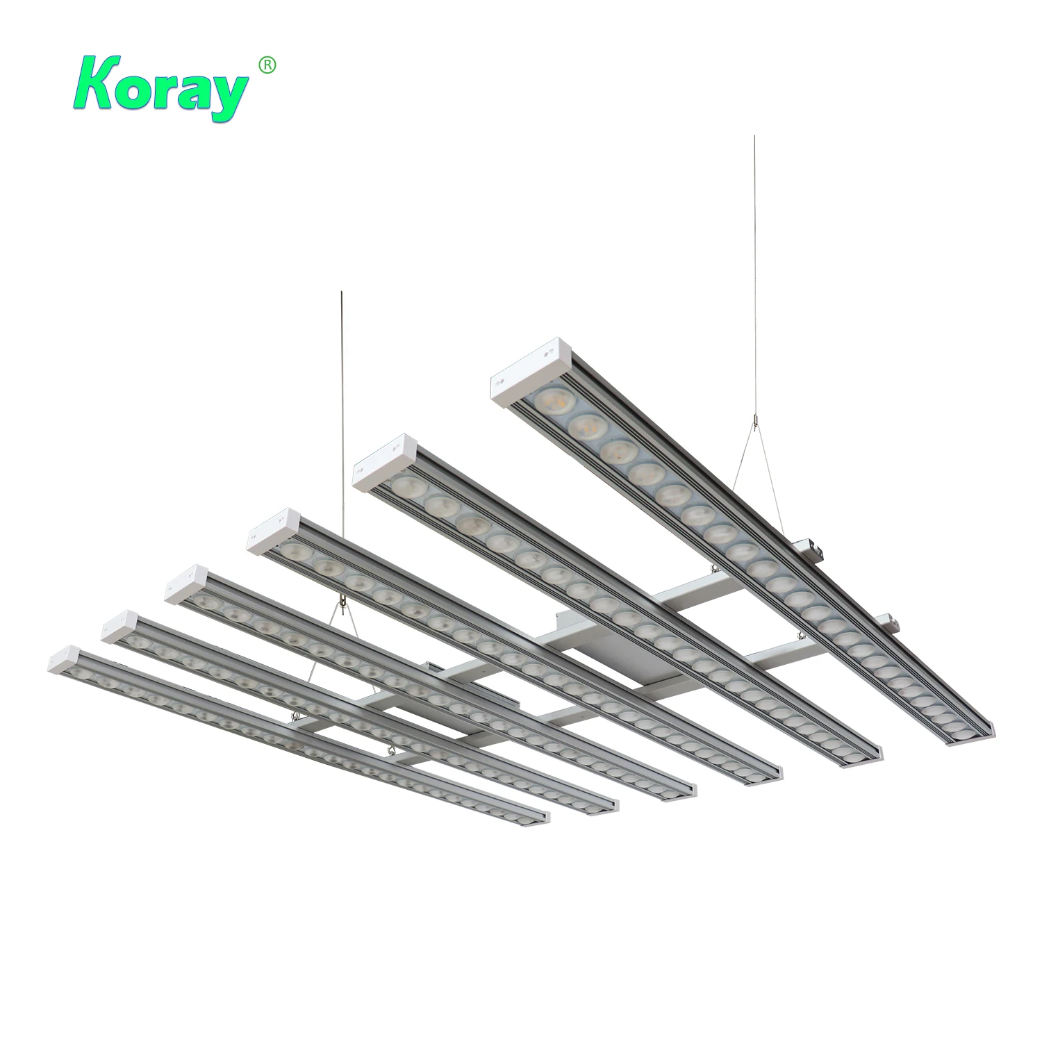 Koray 900W Indoor full spectru - Led Grow Light recensione e prezzo