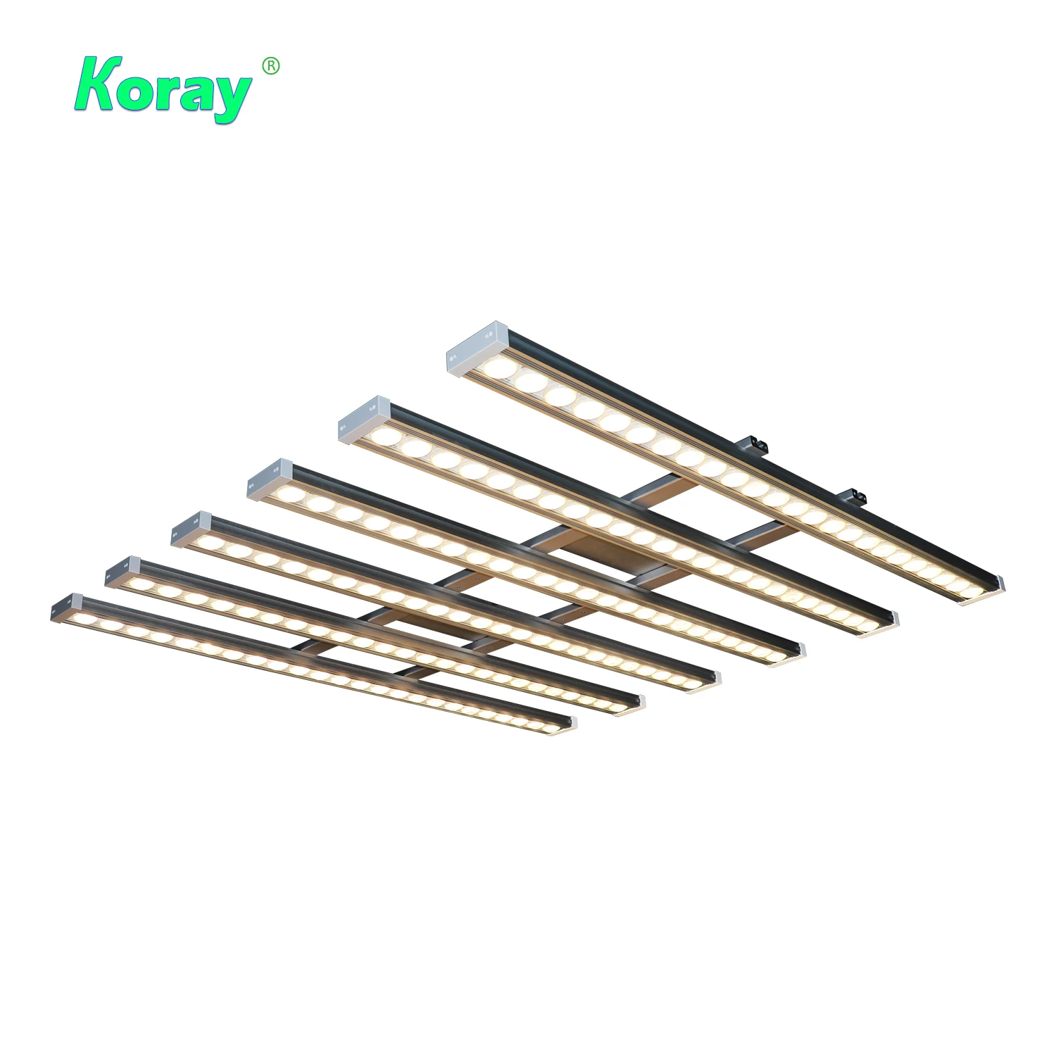 Koray 900W Indoor full spectru - Led Grow Light recensione e prezzo