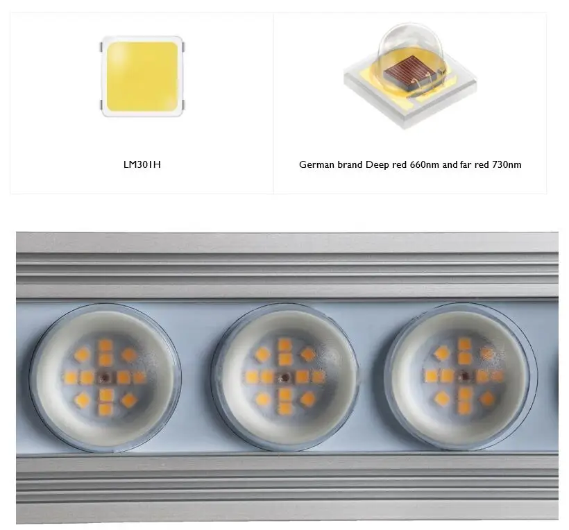 Koray 900W Indoor full spectru - Led Grow Light recensione e prezzo