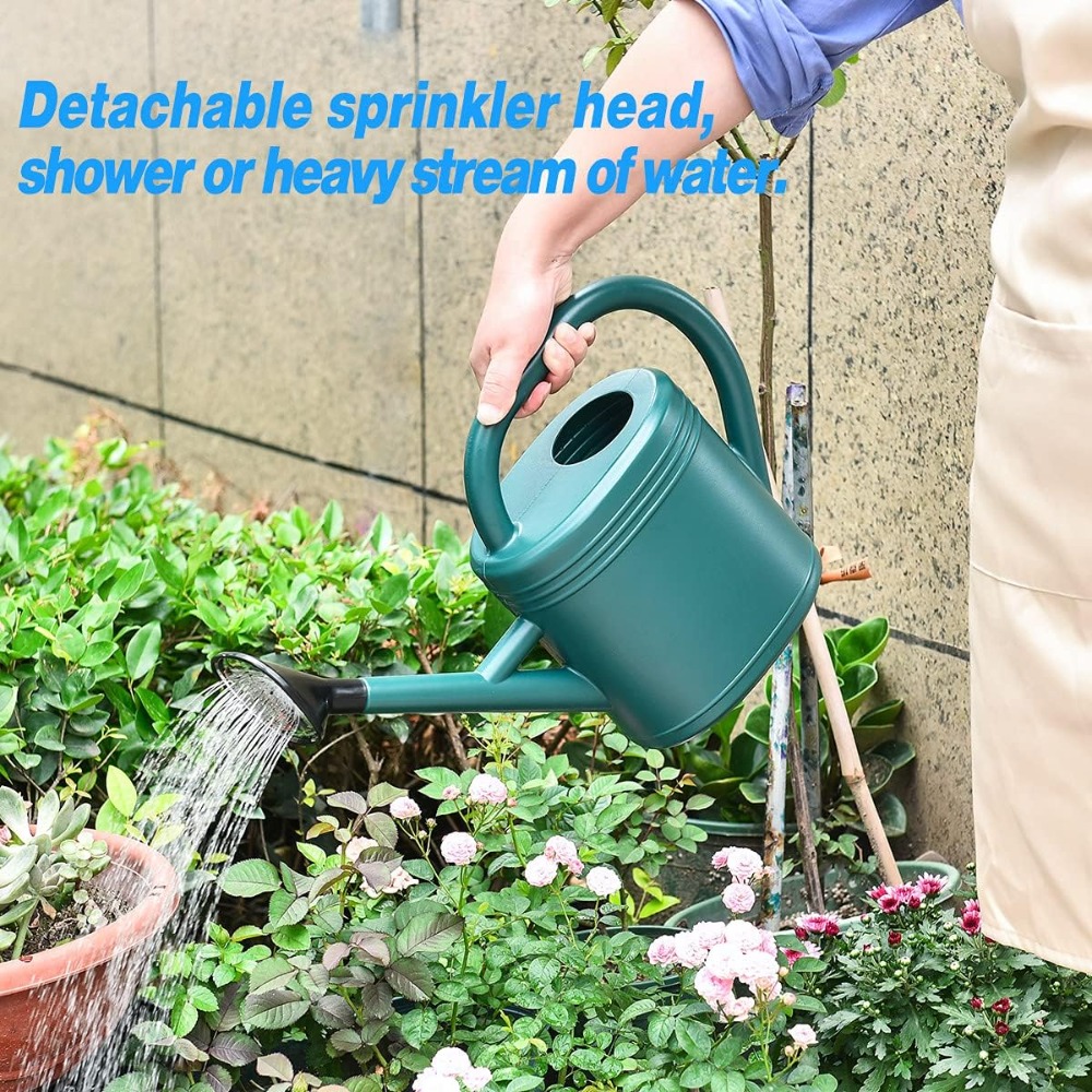 1 Gallon Watering Can for Indo - Watering Can Long Spout recensione e prezzo