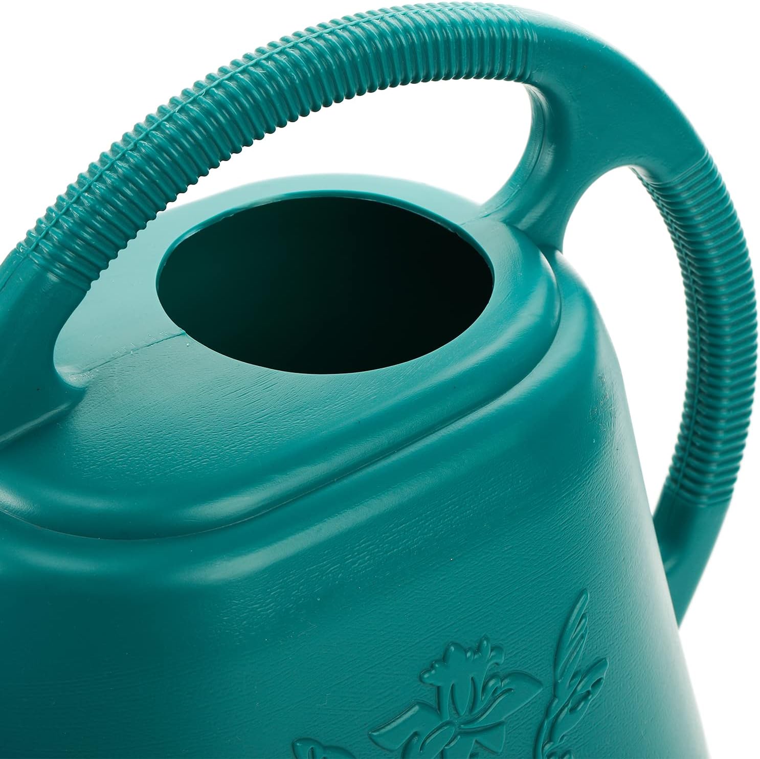 1-Gallon Plastic Watering Can  - Watering Can Long Spout recensione e prezzo