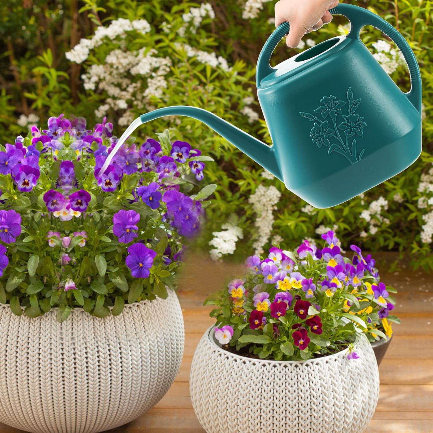1-Gallon Plastic Watering Can  - Watering Can Long Spout recensione e prezzo