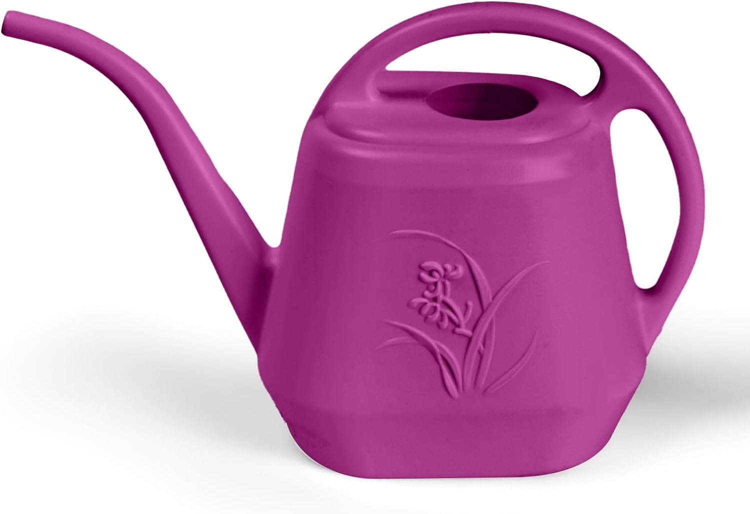 1/2 Gallon Watering Can with L - Watering Can Long Spout recensione e prezzo