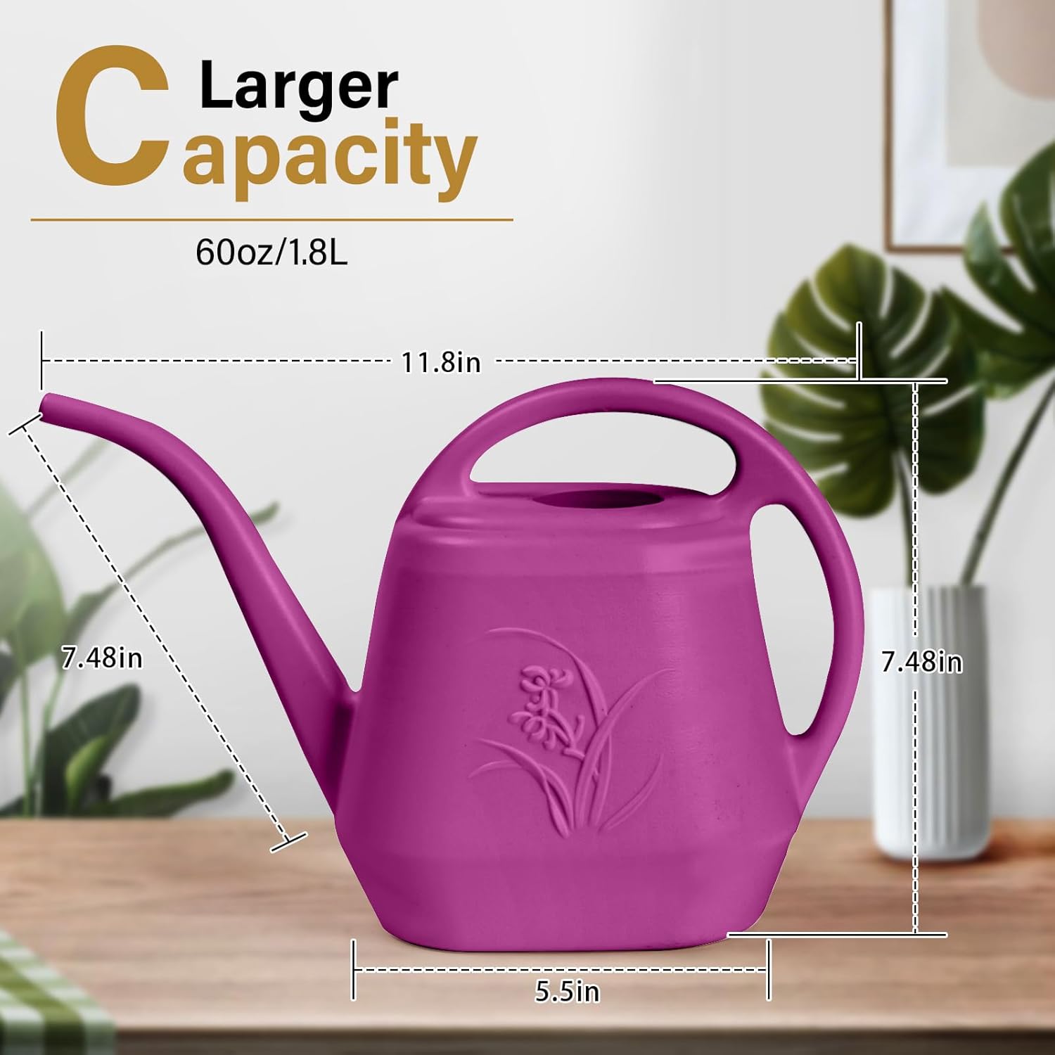 1/2 Gallon Watering Can with L - Watering Can Long Spout recensione e prezzo