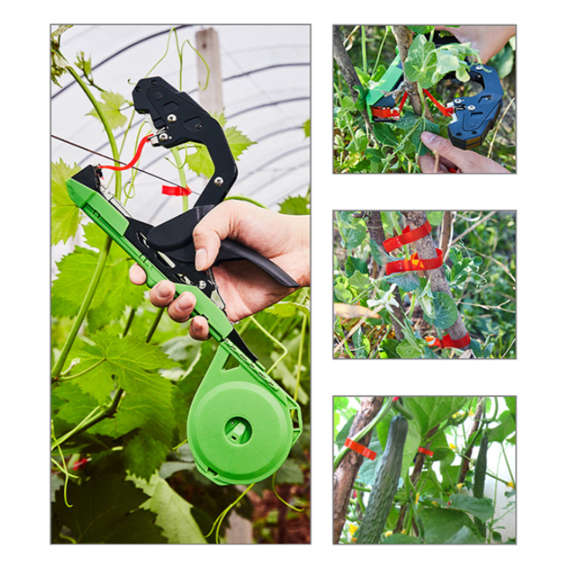 Plant Branch Hand Tying Bindin - Gardening Tools Essential recensione e prezzo